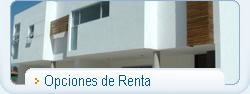 Opciones de renta